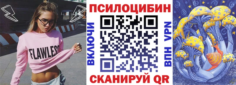 Псилоцибиновые грибы Cubensis  Озёры 